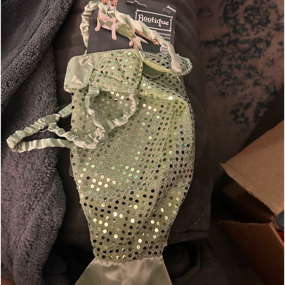 Mermaid costume